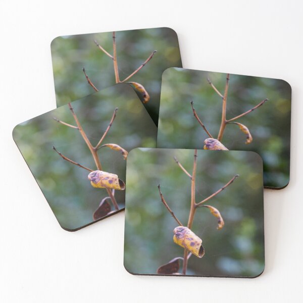 Item preview, Dried Yellow Leaf On Thin Branch With Soft Bokeh Background Evoking Autumn Fragility designed and sold by Nmallia.