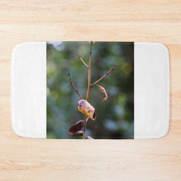 Item preview, Dried Yellow Leaf On Thin Branch With Soft Bokeh Background Evoking Autumn Fragility designed and sold by Nmallia.