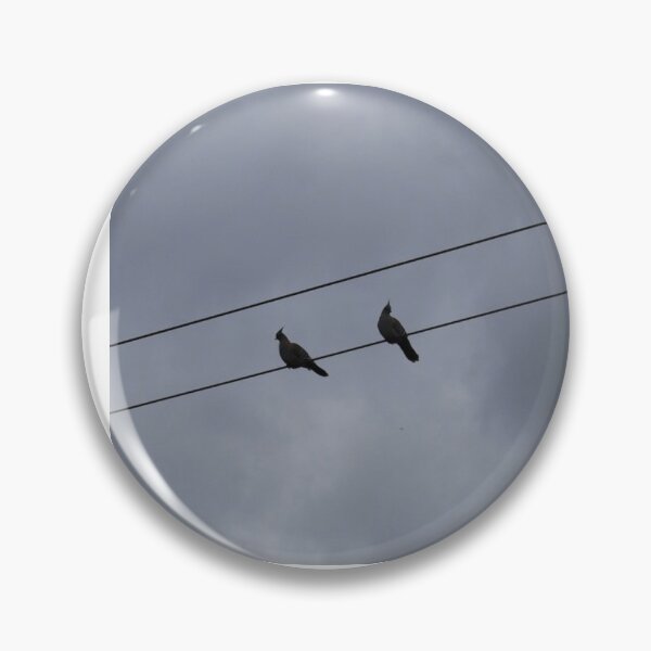 Item preview, We Sat and Said Nothing – Minimalist Bird Photography Print designed and sold by BeesBarn.