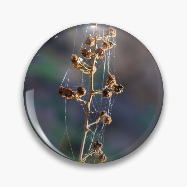Item preview, Dried Wildflower Stem With Spiderwebs And Seed Pods In Soft Natural Light Autumn Macro designed and sold by Nmallia.