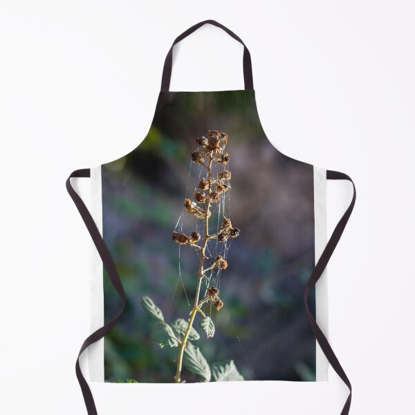 Item preview, Dried Wildflower Stem With Spiderwebs And Seed Pods In Soft Natural Light Autumn Macro designed and sold by Nmallia.