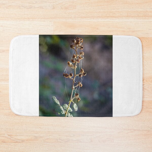 Item preview, Dried Wildflower Stem With Spiderwebs And Seed Pods In Soft Natural Light Autumn Macro designed and sold by Nmallia.