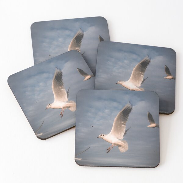 Item preview, Seagull in Flight Over the Sea | Coastal Bird Photography designed and sold by TatinkaArtskill.