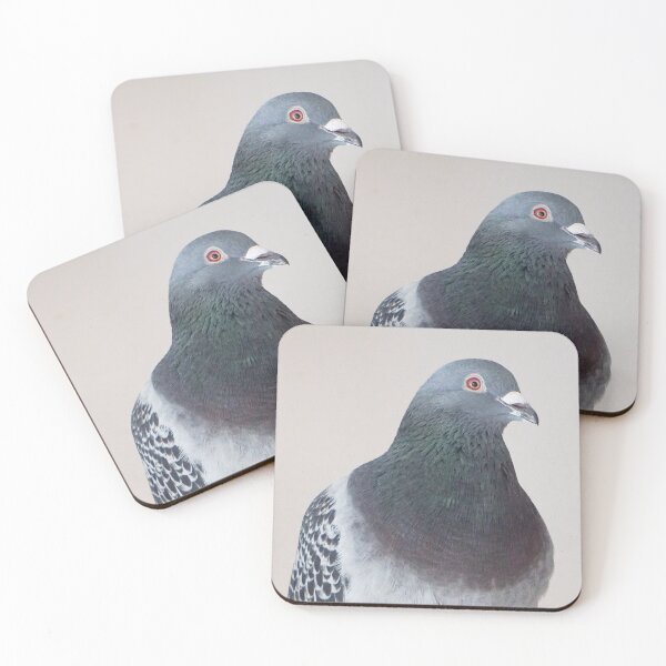 Item preview, Urban Pigeon Portrait | Striking Grey Bird on Beige Background designed and sold by pigeonlovrs.