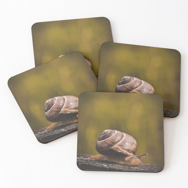 Item preview, Snail Macro Photography | Nature Close-Up designed and sold by TatinkaArtskill.