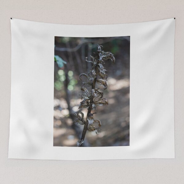 Item preview, Dried Plant Stem With Curled Seed Pods In Forest Bokeh Macro Photo Autumn Decay designed and sold by Nmallia.
