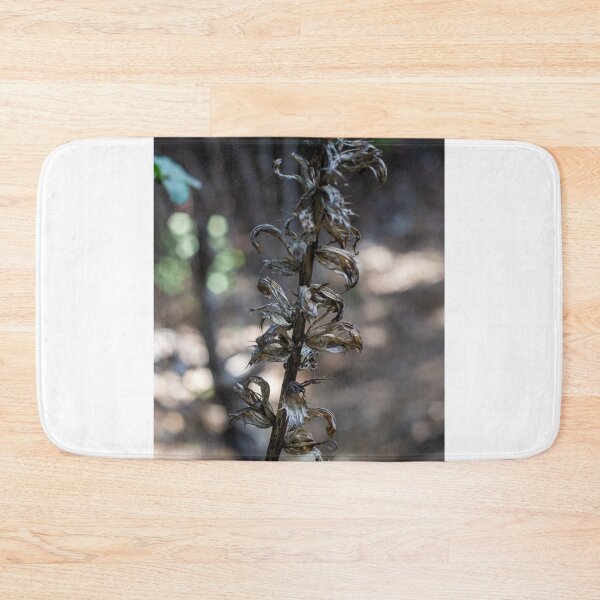 Item preview, Dried Plant Stem With Curled Seed Pods In Forest Bokeh Macro Photo Autumn Decay designed and sold by Nmallia.