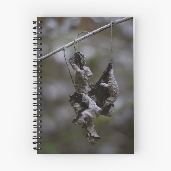 Item preview, Dried Dead Leaves Hanging From Branch In Autumn Forest Closeup With Moody Decay designed and sold by Nmallia.