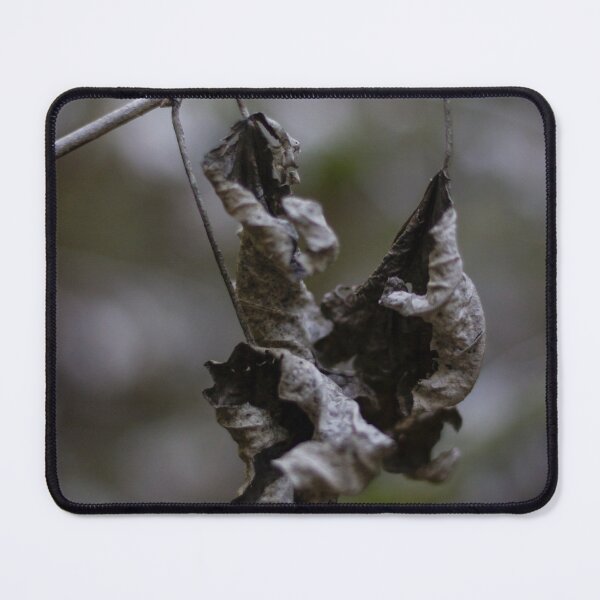 Item preview, Dried Dead Leaves Hanging From Branch In Autumn Forest Closeup With Moody Decay designed and sold by Nmallia.