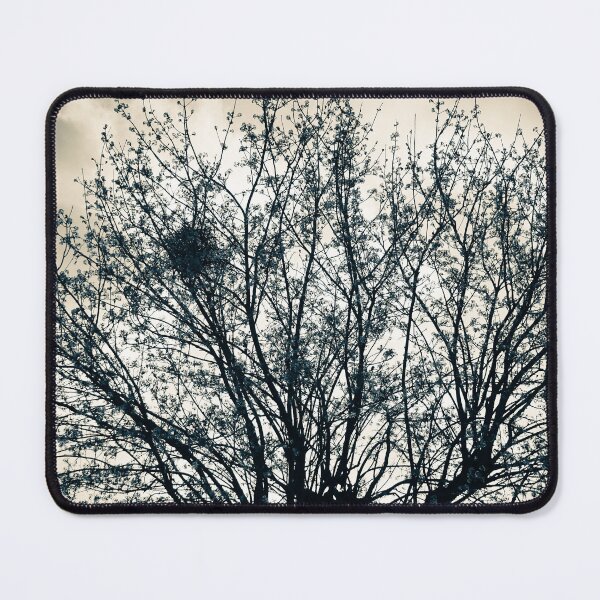 Item preview, Sparse Spring Tree with Magpie Nest designed and sold by pigeonlovrs.