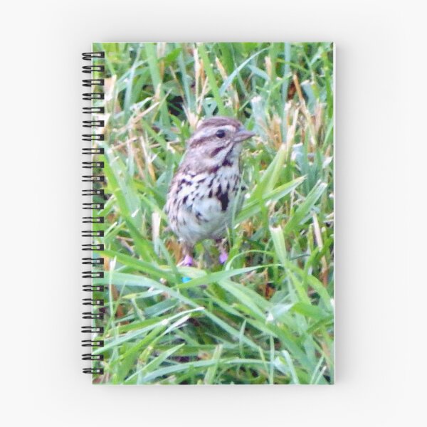 Item preview, Savannah Sparrow designed and sold by gistinker.