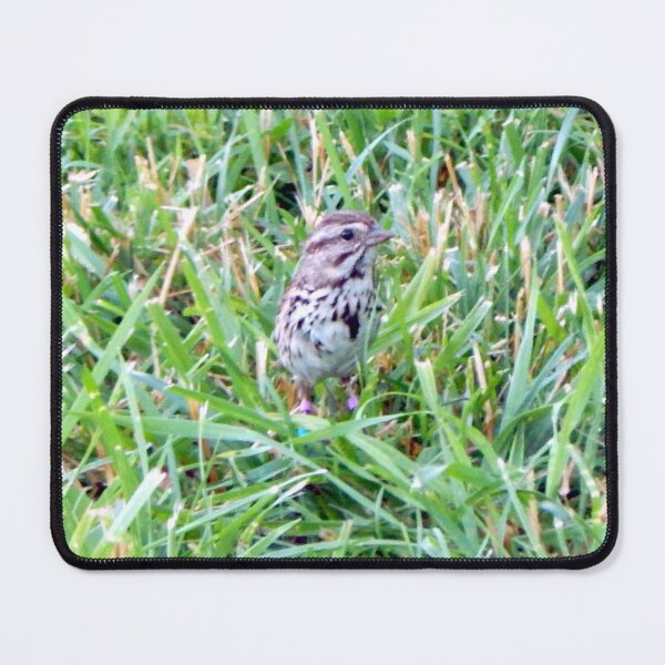 Item preview, Savannah Sparrow designed and sold by gistinker.
