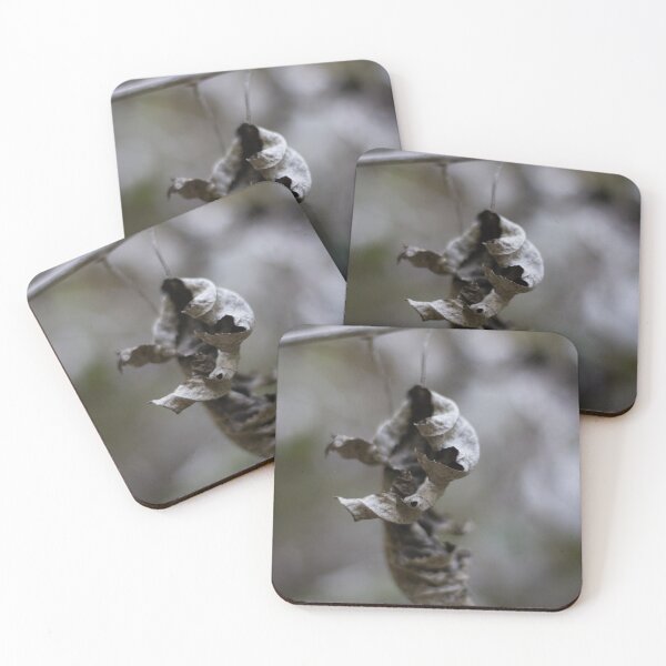 Item preview, Dried Dead Leaves Hanging From Branch In Autumn Forest Closeup With Moody Decay designed and sold by Nmallia.