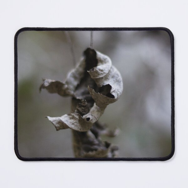 Item preview, Dried Dead Leaves Hanging From Branch In Autumn Forest Closeup With Moody Decay designed and sold by Nmallia.