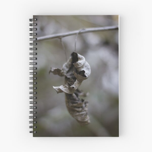 Item preview, Dried Dead Leaves Hanging From Branch In Autumn Forest Closeup With Moody Decay designed and sold by Nmallia.
