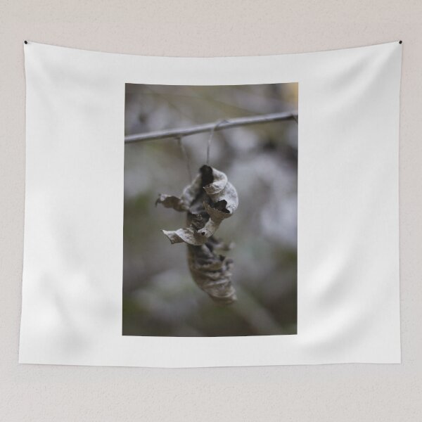 Item preview, Dried Dead Leaves Hanging From Branch In Autumn Forest Closeup With Moody Decay designed and sold by Nmallia.