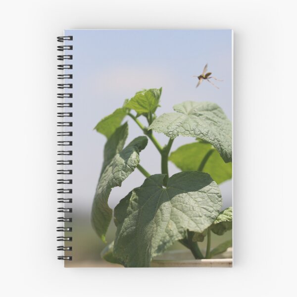 Item preview, Wasp Hovering Over Cucumber Plant designed and sold by zuhairiphotos.