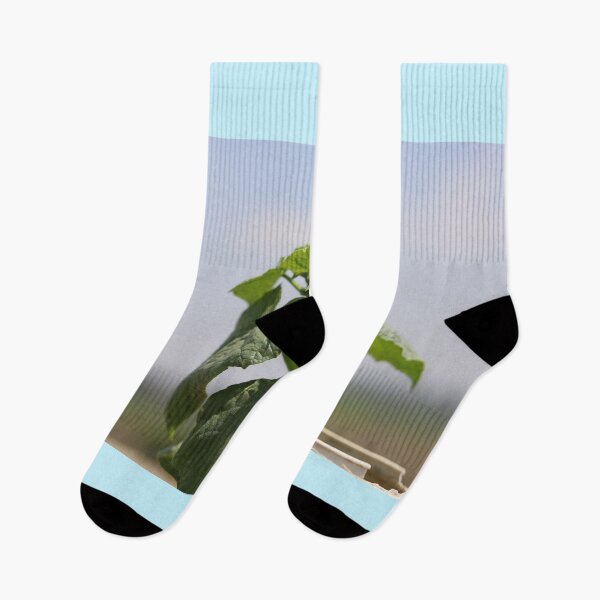 Item preview, Wasp Hovering Over Cucumber Plant designed and sold by zuhairiphotos.