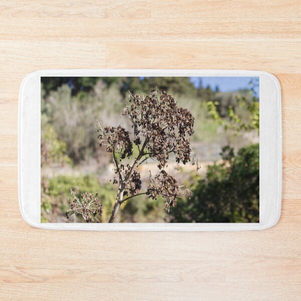 Item preview, Dried Seed Pods On Tall Stalks In Sunny Wild Garden Landscape With Autumn Brown Foliage designed and sold by Nmallia.