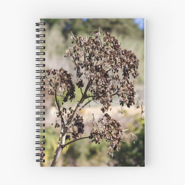 Item preview, Dried Seed Pods On Tall Stalks In Sunny Wild Garden Landscape With Autumn Brown Foliage designed and sold by Nmallia.