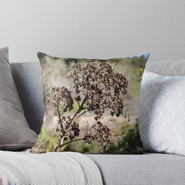 Item preview, Dried Seed Pods On Tall Stalks In Sunny Wild Garden Landscape With Autumn Brown Foliage designed and sold by Nmallia.