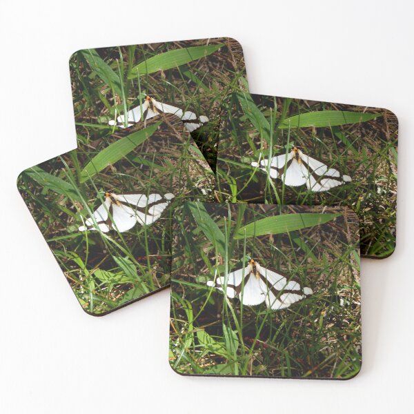 Item preview, Lacontes Haploa Moth in Grass designed and sold by gistinker.