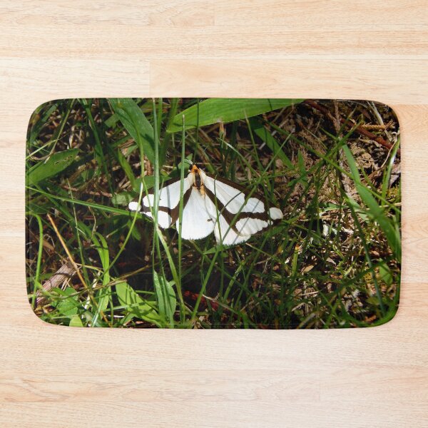 Item preview, Lacontes Haploa Moth in Grass designed and sold by gistinker.