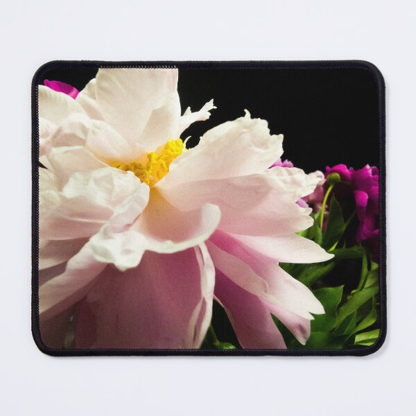 Item preview, Elegant Pink Peony Flower Macro on Black Background designed and sold by Apex_Visuals.