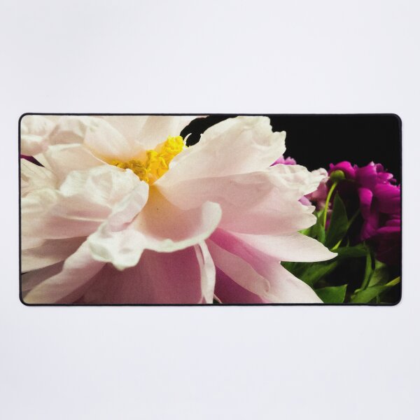 Item preview, Elegant Pink Peony Flower Macro on Black Background designed and sold by Apex_Visuals.