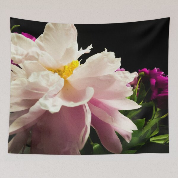 Item preview, Elegant Pink Peony Flower Macro on Black Background designed and sold by Apex_Visuals.