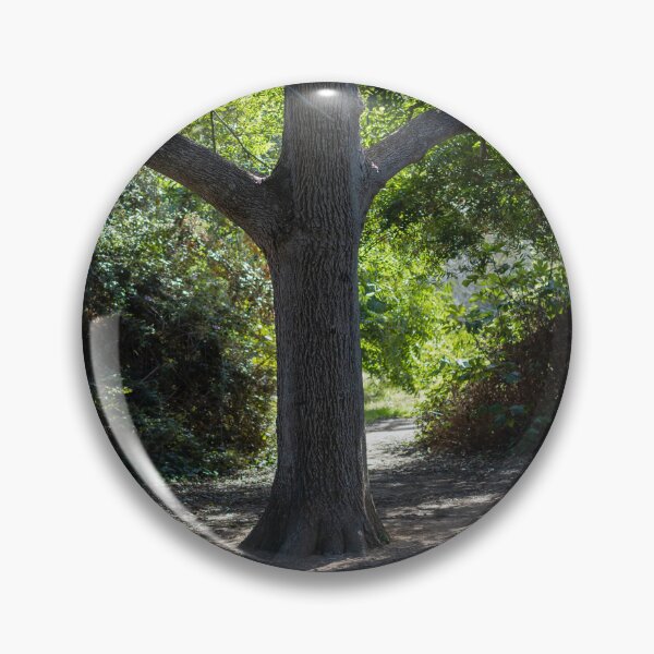 Item preview, Sunlit Tree Trunk on a Shaded Forest Path With Green Canopy and Quiet Woodland Trail designed and sold by Nmallia.