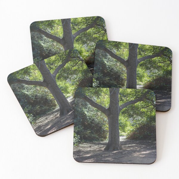Item preview, Sunlit Tree Trunk on a Shaded Forest Path With Green Canopy and Quiet Woodland Trail designed and sold by Nmallia.