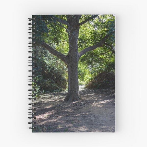 Item preview, Sunlit Tree Trunk on a Shaded Forest Path With Green Canopy and Quiet Woodland Trail designed and sold by Nmallia.