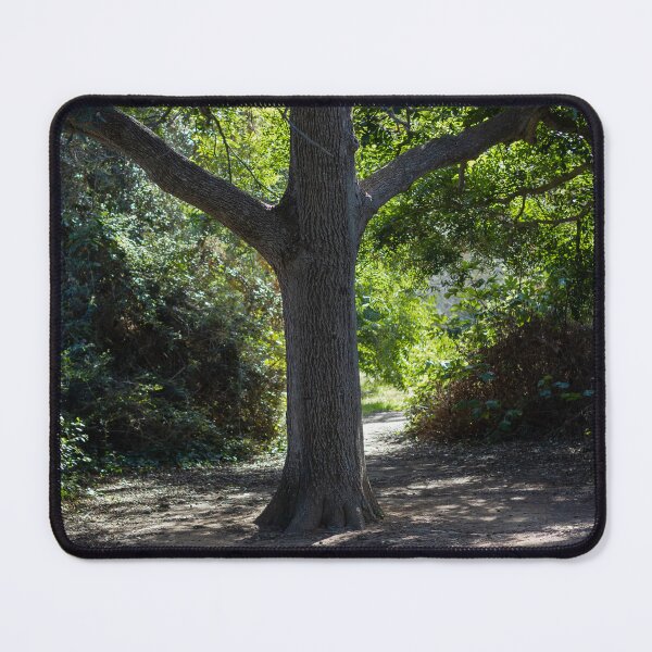 Item preview, Sunlit Tree Trunk on a Shaded Forest Path With Green Canopy and Quiet Woodland Trail designed and sold by Nmallia.