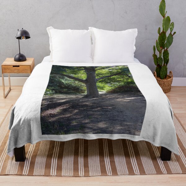 Item preview, Sunlit Tree Trunk on a Shaded Forest Path With Green Canopy and Quiet Woodland Trail designed and sold by Nmallia.