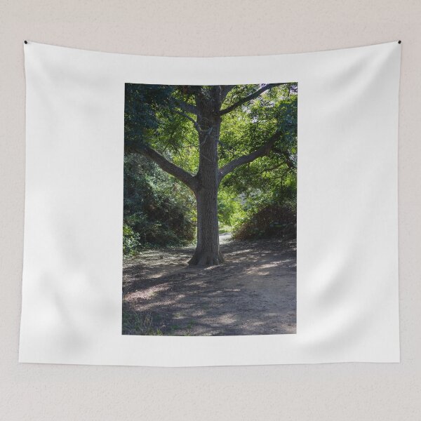 Item preview, Sunlit Tree Trunk on a Shaded Forest Path With Green Canopy and Quiet Woodland Trail designed and sold by Nmallia.