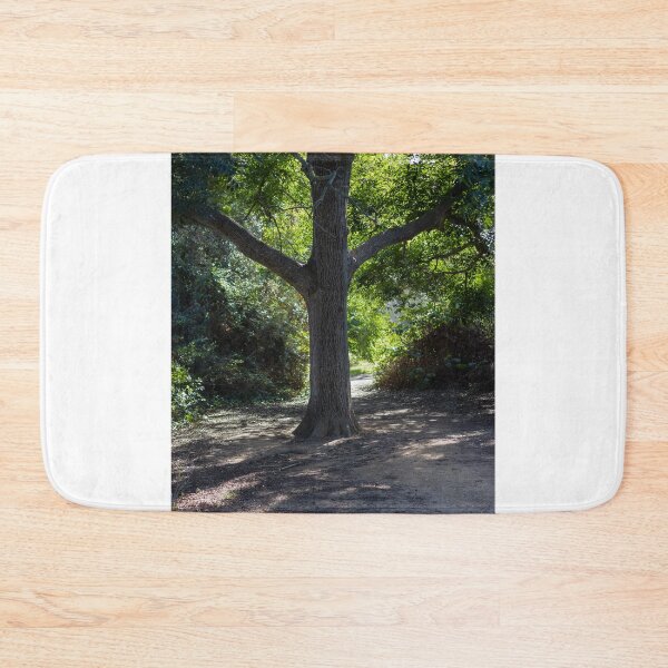 Item preview, Sunlit Tree Trunk on a Shaded Forest Path With Green Canopy and Quiet Woodland Trail designed and sold by Nmallia.