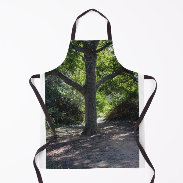 Item preview, Sunlit Tree Trunk on a Shaded Forest Path With Green Canopy and Quiet Woodland Trail designed and sold by Nmallia.