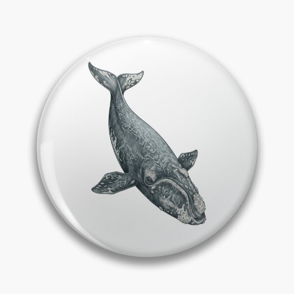 Item preview, Southern Right Whale designed and sold by Chaoscience.