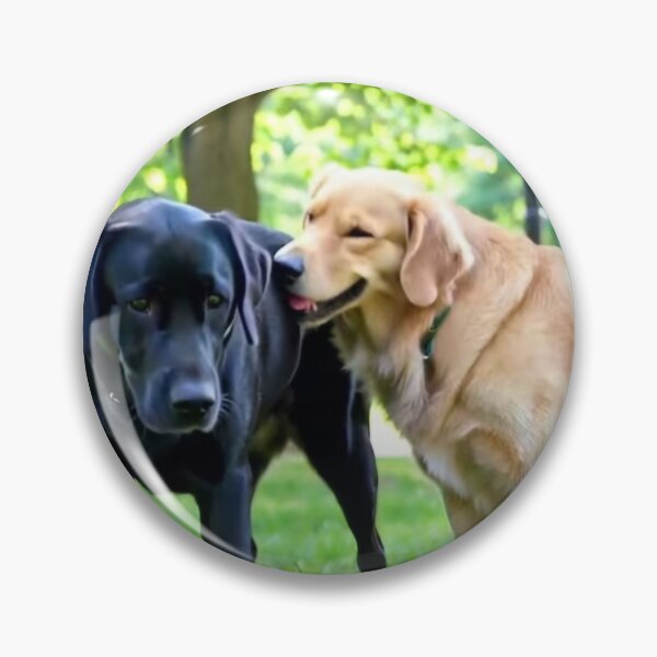 Artikelvorschau, Archie und Shimmer entworfen und verkauft von MsBlazeWolf.