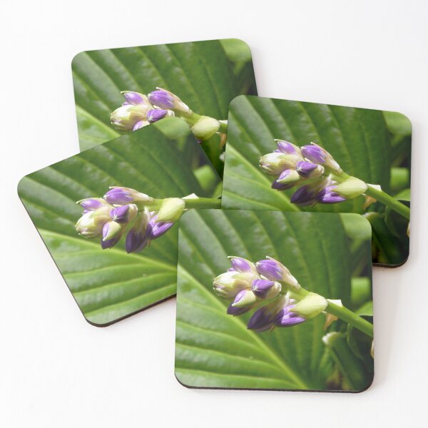 Item preview, Hosta Buds designed and sold by gistinker.