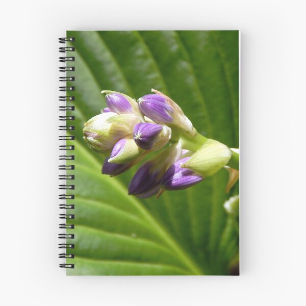 Item preview, Hosta Buds designed and sold by gistinker.