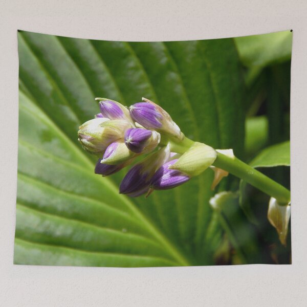 Item preview, Hosta Buds designed and sold by gistinker.