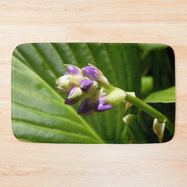Item preview, Capullos de hosta designed and sold by gistinker.