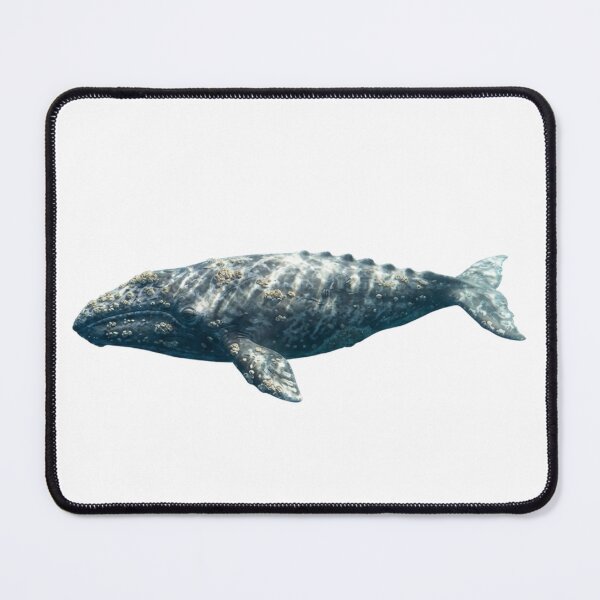 Item preview, Gray Whale designed and sold by Chaoscience.