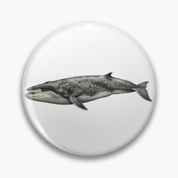 Item preview, Fin whale designed and sold by Chaoscience.