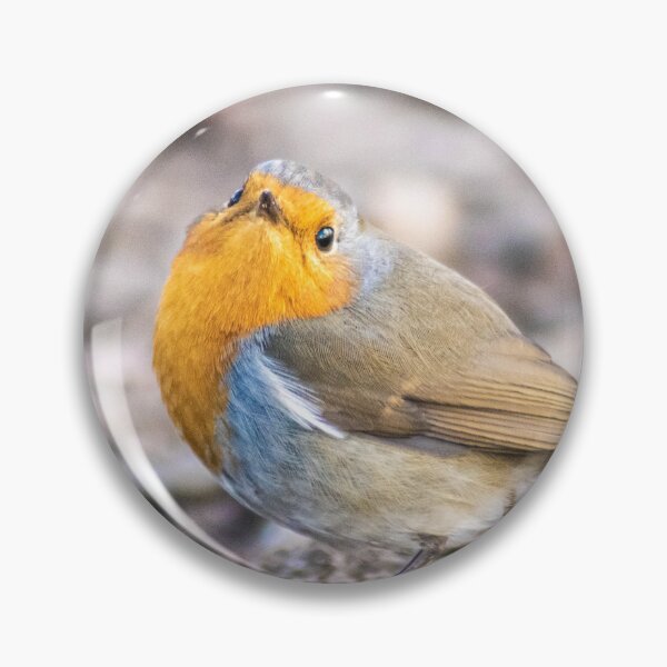 Item preview, Robin posing on the ground designed and sold by LeSiPhoto.