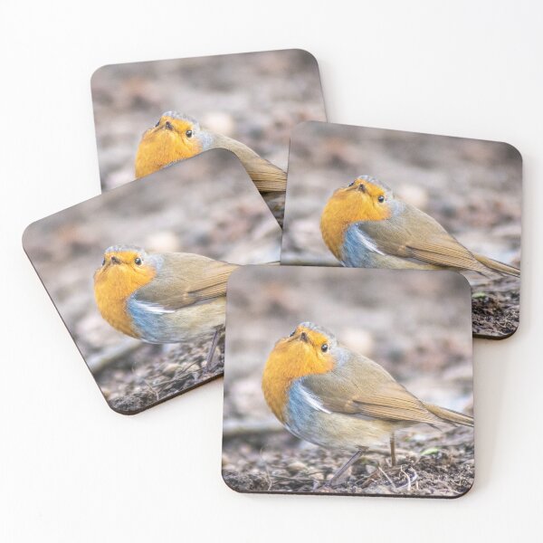 Item preview, Robin posing on the ground designed and sold by LeSiPhoto.