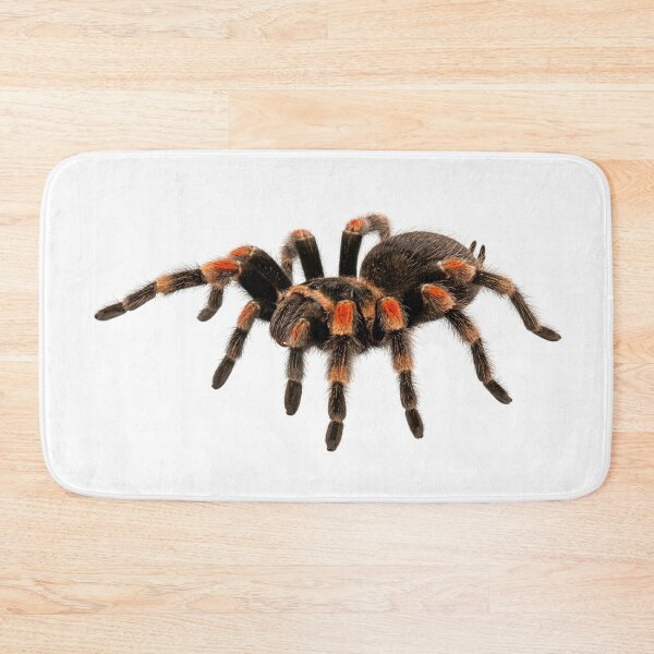 Item preview, Red-knee tarantula designed and sold by Chaoscience.