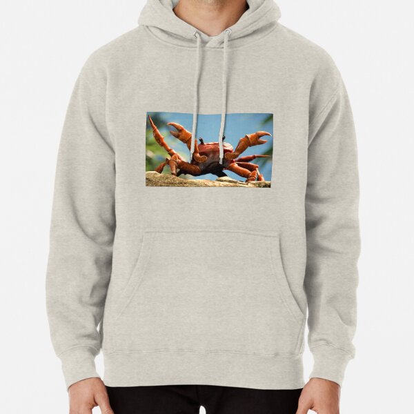 UESEU Mens Fashion Solid Color Hoodie Long-Sleeve Pullover Angry Monkey Hooded Sweatshirt